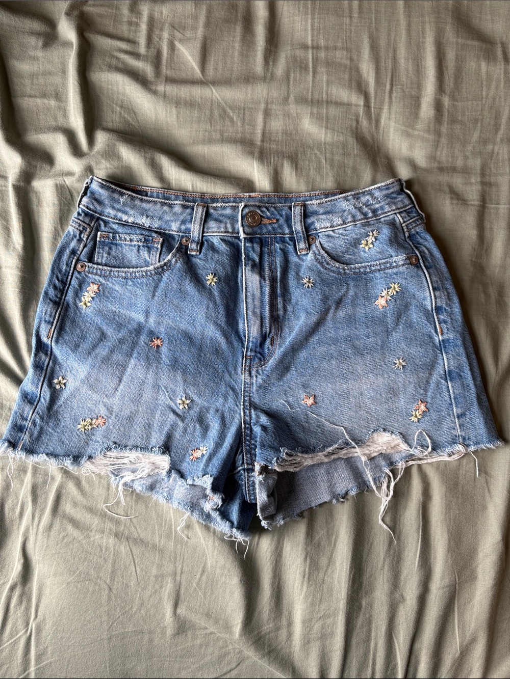 American Eagle Outfitters Light Blue Embroidered Denim Shorts